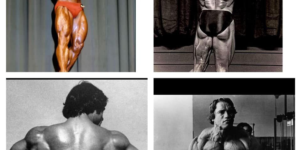The Lost Art Of Bodybuilding Posing | Bodybuilding Chronicles - video  Dailymotion